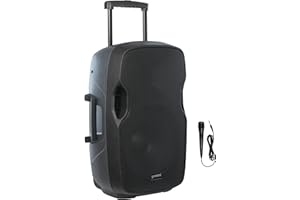 GEMINI SOUND Gemini AS 15 to go Caisse Diffuseur portable Bluetooth