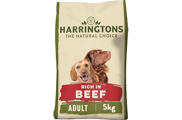 best kibble