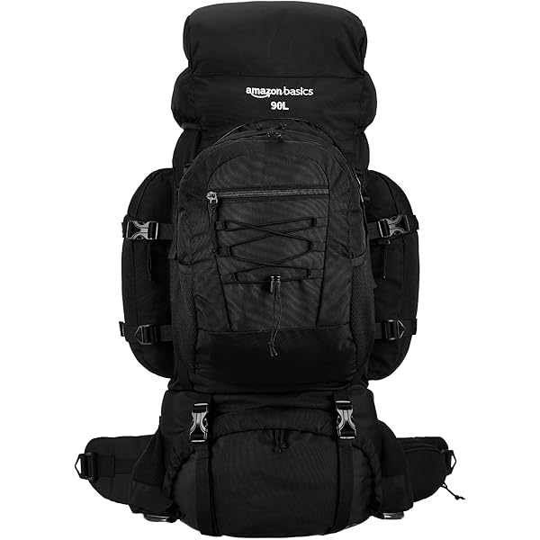 NGIL Canvas School Backpack (Glitter-Silver) Tanzania