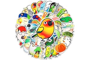 AFFOTO Pegatinas de loro para ordenador portátil (50 unidades), regalo para niños, adolescentes, adultos, niños, pegatinas de pájaro, coche, equipaje