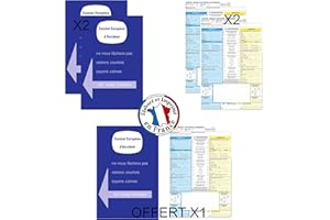 TAPE CINQ - Marque Et Fabrication Française - 2 Constats Amiable D'Accident Européen + 1 Offert - pour Voiture, Moto et Camion - pour Jeune Conducteur A Ou Professionnel, Il Reste Indispensable.