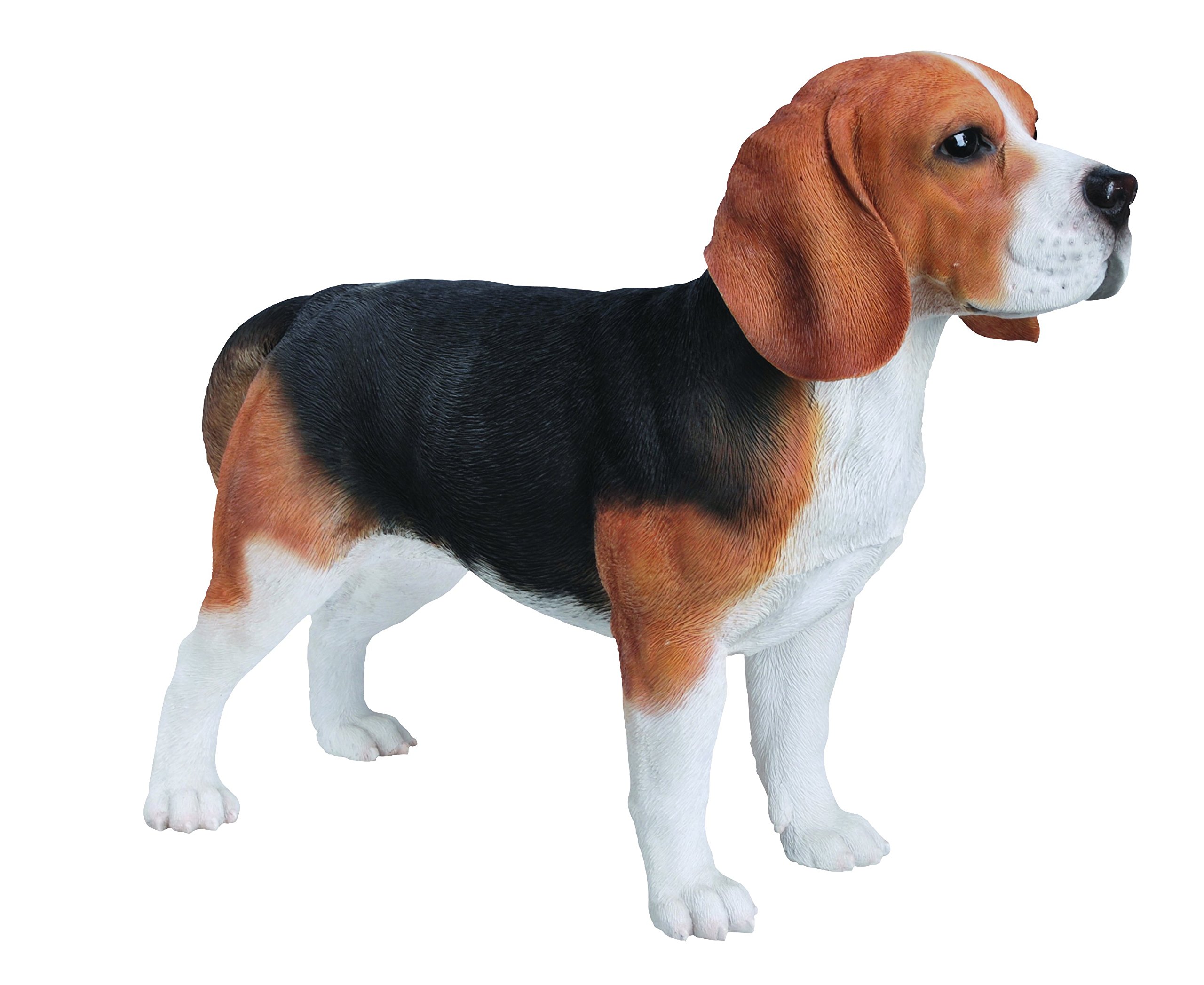 Vivid Arts XRLBEAGA Beagle Dog Resin Ornament Dogs.co.uk