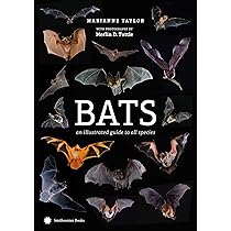 Buy Bats: A World of Science and Mystery Book Online at Low