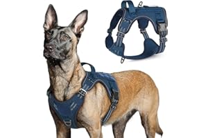 RabbitgooUprząż dla psa średniej wielkości, regulowana, z uchwytami, poszerzona, wytrzymała i odporna na zużycie, taktyczna uprząż z metalowymi sprzączkami do wędrówek (L, niebieska)
