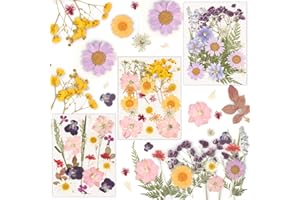 LBINYLING Gepresste Blumen, 66 Stück Natürliche Getrocknete Blumen, DIY Getrocknete Blüten, Gemischte Getrocknete Blätter Gänseblümchen für DIY Kerzen Harz Schmuck Nagel Anhänger Scrapbooking-Dekorationen