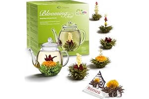 Creano - Set de regalo de flores de té verde con tetera de vidrio de 500 ml y 6 bolsas + 1 bola de té negro Teelini