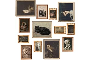 Fardes Moody Decor Aesthetic, Dark Academia Wall Decor, 13pcs Dark Academia Moody Wall Art, Gothic Wall Art for Vintage Room Decor