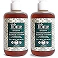 Rustic Art Home Lemon Tamarind Dish Wash Concentrate with Soapnut & Neem | Converts to 3 litres liquid | Natural & Toxin free |(300g (Pack of 2))