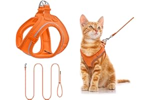 Qianruida Hundegeschirr,Katzengeschirr Mit Leine Für Katzen, Verstellbares Kätzchengeschirr Atmungsaktiv Ausbruchsicheres Katzengeschirr Reflektierendes Kaninchengeschirr Für Katzen Welpen-Orange Xxxs