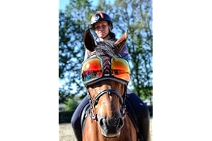 eQuick Lunettes de protection Evysor Rainbow