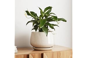 LE TAUCI Pot de Fleurs en Céramique, Pot pour Plantes 25 cm avec Trou de Drainage et Soucoupe, Pot de Fleurs d’Intérieur Durable pour Décoration Moderne de la Maison, Beige