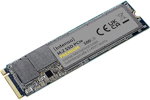 Intenso Disque SSD Interne 500 Go M.2 SSD PCIe Premium, jusqu'à 2100 Mbit/s, (PCI Express Gen.3x4 NVMe 1.3, Solid State Drive)