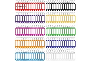 HIQU and HIST Schlüsselanhänger, Kunststoff Schlüsselschilder mit Schlaufen,Schlüsselanhänger Beschriftbar Etiketten für Schlüssel, Haustiere, Gepäckstücke,10 Farben Austauschba（50/100/150 Stück