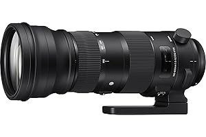 Sigma Objectif 150-600mm F5-6.3 DG OS HSM Sports pour Nikon