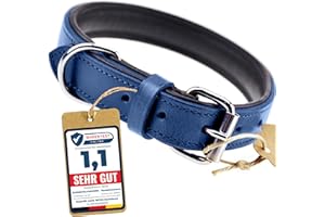 Schnüffelfreunde Obroża skórzana dla psa I Obroża dla psów ze skóry (XL - 46-55cm, Niebieski)