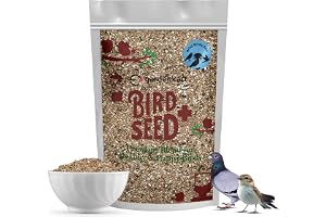 Egardenkart Wild Bird Food 1kg - Economic Bird Seed Mix for All types of Wild Birds | Bird Feed for Dove Pigeon Myna Lark Bulbul Sparrow Hoopoe | Bird Seeds Outdoor (1kgs, Small Seeds)