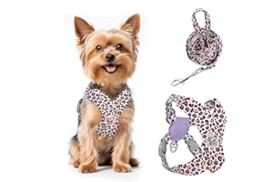 Pawaboo Arnés Perros con Correa, Arnes Tipo Chaleco para Perros Pequeños Medianos, Arnés Ajustable Antitirones Transpirable Acolchado de Forma X para Cachorros Gatos Caminar, Leopardo Rosa
