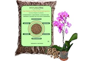 MYPURECORE YOU AT THE CORE MYPURECORE Clay Pebbles for Plant Pots & Hydroponics | Clay Balls Cactus & Succulent Potting Mix, Horticultural Grit, Lava Rock, Decorative Gravel & Drainage for Indoor & Outdoor Plants (1L)