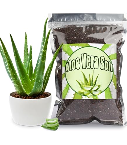 Aloe Vera Erde Mit Dnger 5 L | Luftig Lockere Spezialerde Fr Aloe-Vera  Pflanzen | Premium Blumenerde Mit Wurzelaktivator | Perfekt Als Pflanzerde  & Zum Umtopfen : Amazon.de: Garten