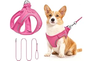 Qianruida Geschirr und Leine für Katzen, verstellbares Katzengeschirr aus weichem atmungsaktivem Mesh, reflektierende Katzenweste für kleine Katzen und Hunde, Gehen, Laufen, Ausbildung (ROSEO M)