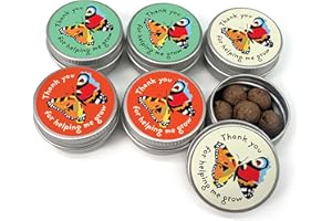 SEEDBALL Thank You Teacher Gifts Wildflower Seeds (Set of 6 Mini Tins) | Bee Friendly British Wild Flower Seed Mix - Red Campion, Musk Mallow, Cornflower Seeds for Bees, Butterflies & Garden Wildlife