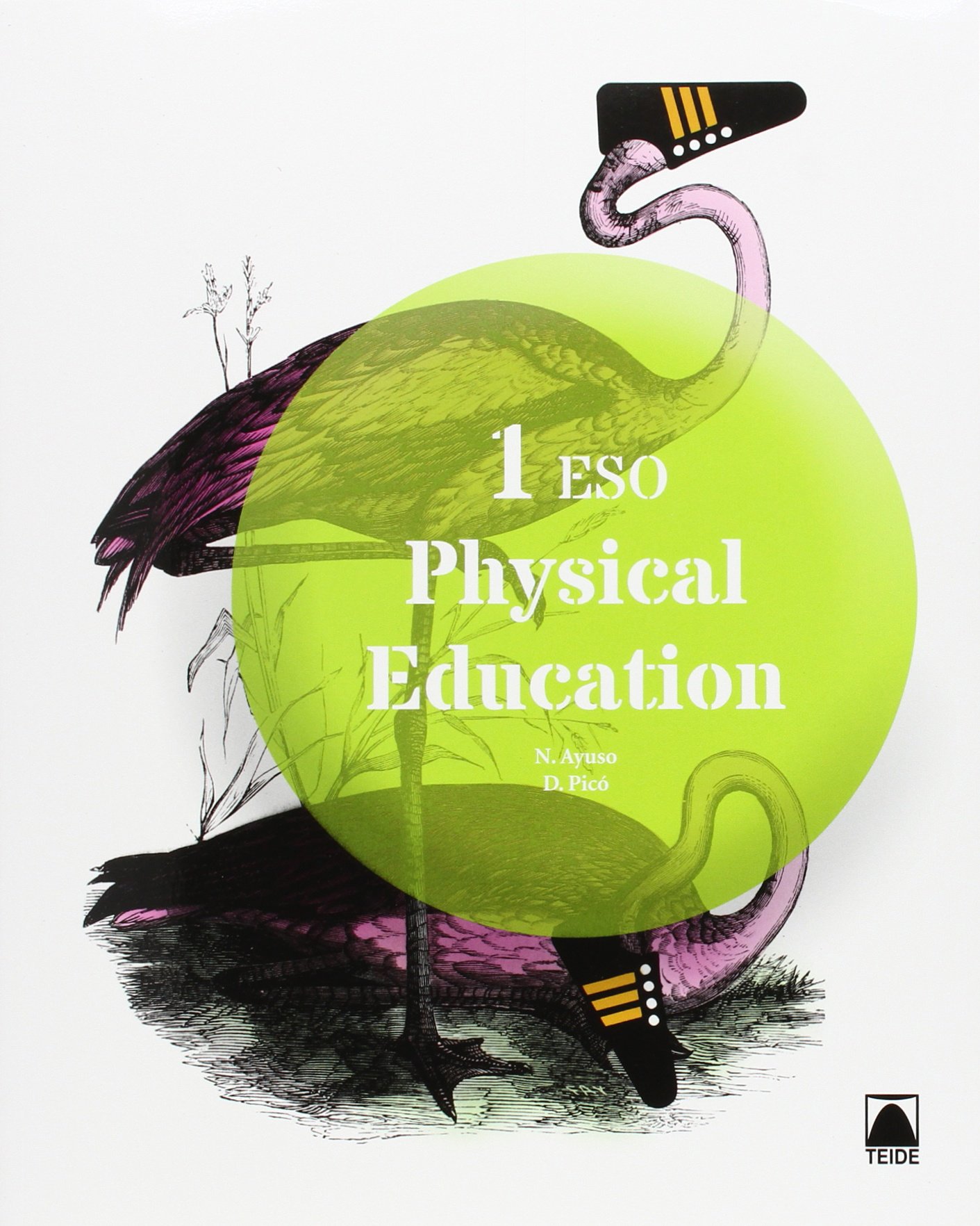Physical Education, 1 ESO