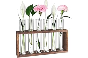 CFMOUR Plant Terrarium with Wooden Stand, Propagation Station Desktop/Wall Glass Tubes Hanging Planters Hydroponic Vase Holder for Indoor Home Garden Decor