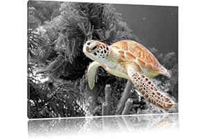 Pixxprint Belle Tortue de mer Noir/Blanc Taille: 60x40 sur Toile