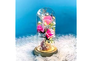 Resszo Rose Eternelle, Fleurs Artificielles sous Cloche, La Belle et la Bête Rose en Verre avec Lumières LED Pine Base pour Fête des Mères Saint Valentin Décorations Anniversaire Mariage Maison
