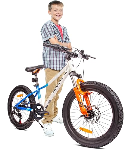 Mountain Bike Bici Canellini Usata Bicicletta Bambino 26 Pollici