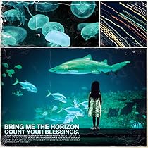 2004 - 2013: Amazon.co.uk: CDs & Vinyl