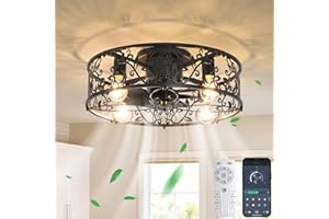 Ganeed Caged Ceiling Fan with Lights Industrial Style Farmhouse Ceiling Lighting 51cm Low Profile Ceiling Flush Mount Lamp E27 with Remote Control Black 4 Lights