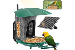 GJCrafts Comedero para pájaros con cámara (verde oscuro)