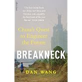 Breakneck: China's Quest to Engineer the Future