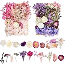 16 Fiori Secchi Pressati Per Resina E Fai Da Te - Set Naturale Per Decorazioni E Artigianato - Foto 3