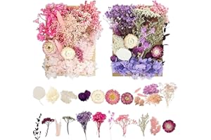 BLAULOCK Fiori Secchi, fiori secchi naturali, 2 Scatole fiori secchi decorativi, fiori secchi per fai da te, Veri Fiori Secchi Pressati per Fai da Te Scrapbooking Candele Nail Decorazione