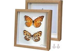 Houstimi Solid Wood Shadow Box Frame 8x8 3D Dark Wooden Picture Frame Square 20 x 20cm Object Frame Pack of 2 Small Shadow Box Display Case Internal Depth 0.6 inches for Wall Or Tabletop