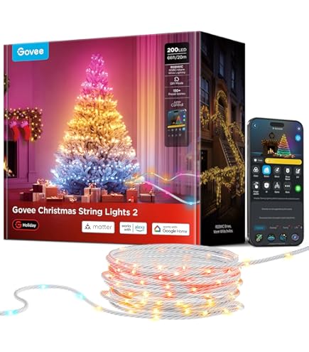Govee Kerstverlichting, RGBIC kerstverlichting voor buiten, 10 m, lichtketting voor binnen, kerstdecoratie, led-lichtketting voor buiten, 100 ledlampen, 99 scènes, IP65 waterdicht
