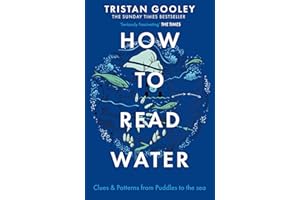How To Read Water: Clues & Patterns from Puddles to the Sea: A must-have for all nature lovers - perfect reading for your autumn adventures