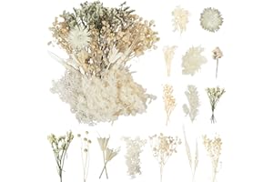 LAUMOE Getrocknete Blumen, Trockenblumen zum Basteln Mini Trockenblumen Set für DIY Epoxidharz Scrapbook Zubehör Handgemachte Heimdekoration Hochzeit (Weiß)