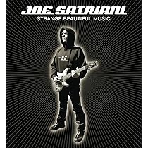 Strange Beautiful Music : Satriani, Joe: Amazon.fr: CD et Vinyles}