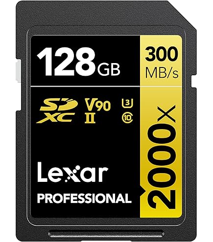 Nextorage Japan Ultra Fast V90 UHS-II SD Card 64GB max Write Speed