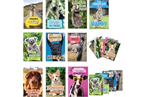 SMARSTICKER Funny Animal Postcards 40 Pack Animal Greeting cards 4x6 inch Thinking of You Missing You Postcard for for Students, Friends, Teacher Adorable