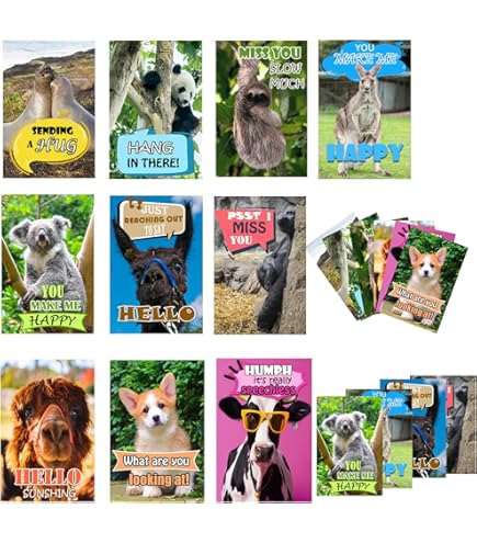 how to change your report card grades on the computer Amazon Best Sellers: Best Binder Sheets, Card & Photo Sleeves main image 1