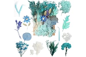 N BLESSING Real Dried Flowers Natural Dry Flowers Mixed Colors Dried Leaf Bouquet for DIY Arts, Resin, Jewelry, Scrapbooking & Wedding Home Decor (Blue)