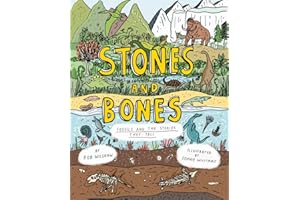 Stones and Bones: Fossils and the Stories They Tell