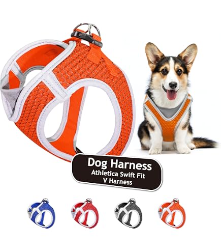 Kruz PET Reflektierendes Hundegeschirr – No-pull, Verstellbar, Mesh, Mit D-Ring, Für Kleine/mittlere Hunde
