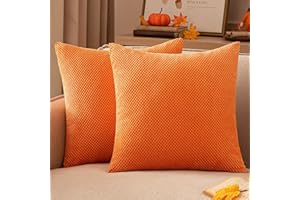 EMEMA Kordsamt Kissenbezug Herbst Dekorative Granulat Sofakissen Dekokissen Kissenbezüge Kissenhülle Couchkissen Überwurf Kissen Bezug Zierkissen für Couch Sofa Wohnzimmer 2er Set 40x40 cm Orange
