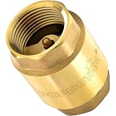 Poppstar Non-return valve 1 inch (brass, stainless and waterproof) for pump and washing machine