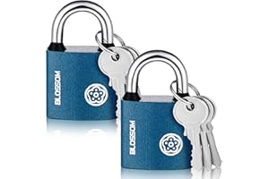 Invalidism 2 Pcs Iron Padlock With 3 Keys, 50 MM Heavy Duty Weatherproof Outdoor Lock for Shed, Warehouse, Fence, Garage, Garden, Gym Locker